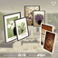 Campanelli Decor logo