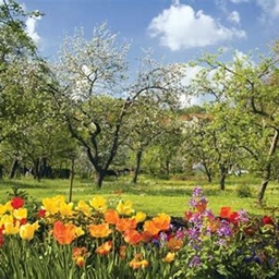 Spring has come project image