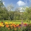 Spring has come logo