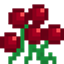 Berries-Ultra logo