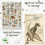 Posters - Cryptids + Education logo