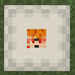 MrShulker-Flat GUI View Companion logo