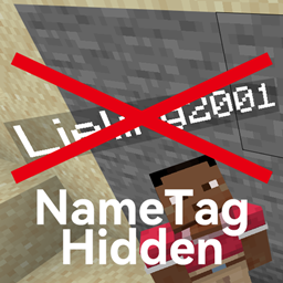 NameTagHidden logo