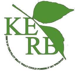 Neon Genesis Kerbelion "KERB" logo flagset logo