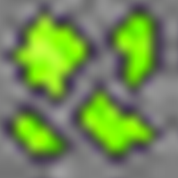 Experience Ore logo