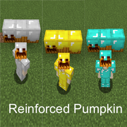 Reinforced Pumpkin project image