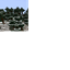 Frozen World Generation logo