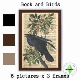 Book & Birds project image