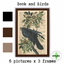 Book & Birds logo