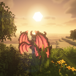 Re-Enhanced Beginnings