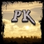 PIXELKRAFT logo