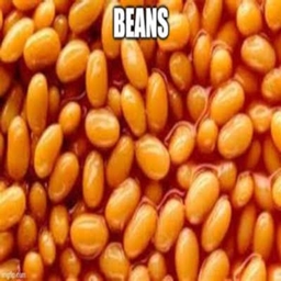 beans1 logo