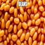 beans1 logo