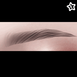 [Learxfl] Chalize Eyebrows