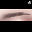 [Learxfl] Chalize Eyebrows logo
