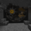 The NTM Wasteland logo