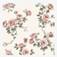 Rose Wallpaper Print logo