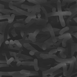 Eviv project image