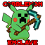 Cobblemon Enclave avatar