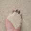 Granular Realism: Sand Simulator logo