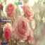 Main Menu Background Override Flowers 3 logo