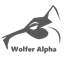 Wolfer Tech Pack logo