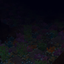 CoralReef logo