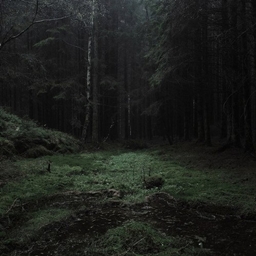 Codename: Downfall project image