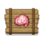 Brain Delight logo
