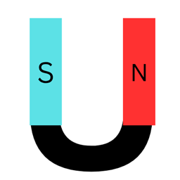 Magnetism Mod logo
