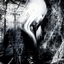 The Simulacra logo