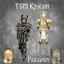 TSM Knight Armor: Paladin logo