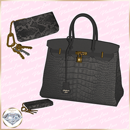 PL | B-Lock Bag & Key Pouch - Black project avatar