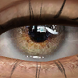 Novo plasticity eyes (set: nondefault & heterochromia) logo