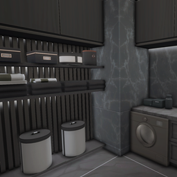Ultra Modern Black Laundry room