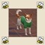 No Random Pet Clothing logo