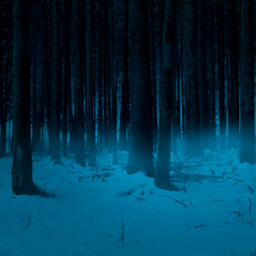 Never ending winter nightmare logo