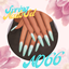 Spring Nails Set N066 logo
