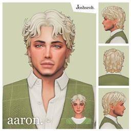 Aaron Hair