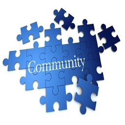 The Community project image
