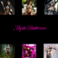 Mystic Huntresses Painting logo