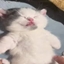 Sleepy Head logo