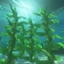 The Ocean logo