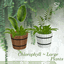 Chlorophyll Large Plants 🌿 avatar
