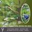Functional Wisteria Tree Swing, Bridgerton-inspired Set logo