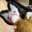 Chase Super Awesome Extravaganza Little Guy Edition  logo