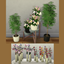 Flowers in pot/vase logo