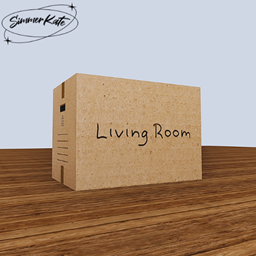 Living Room Packaging Box project avatar
