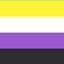Non-Binary Pride Chestplates logo
