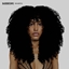 BADDDIESIMS TANI HAIRSTYLE logo